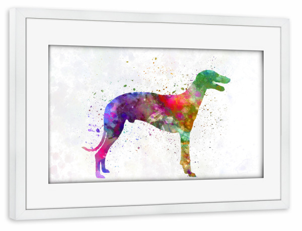 Poster mit Rahmen weiß "Greyhound in watercolor" artboxONE - Tiere,Abstrakt - Dog,Dogs,Pet,Animal,Mammal,Watercolor,Illustration,Abstract
