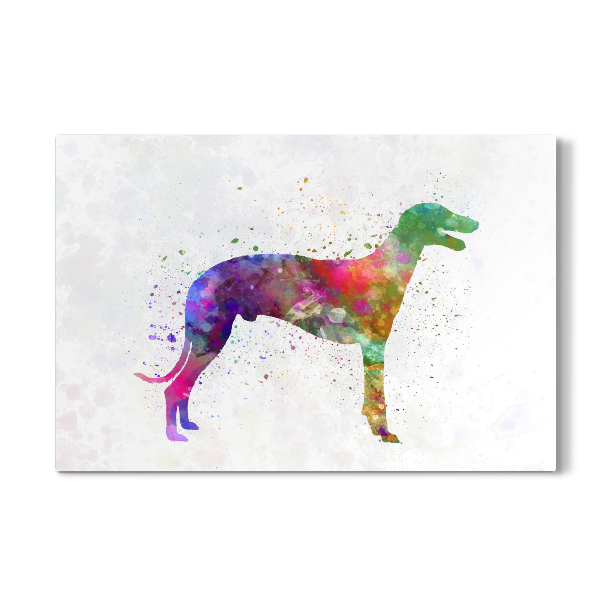 Galerie-Print "Greyhound in watercolor" 75x50 cm artboxONE