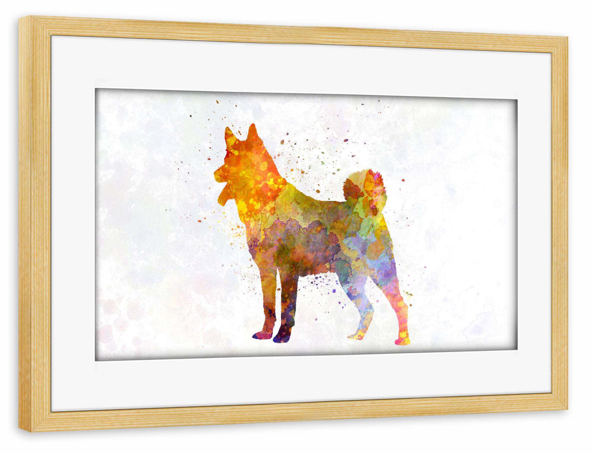 Poster mit Rahmen kiefer "Jamthund in watercolor" artboxONE - Tiere,Abstrakt - Dog,Dogs,Pet,Animal,Mammal,Watercolor,Dog poster,Illustration,Abstract