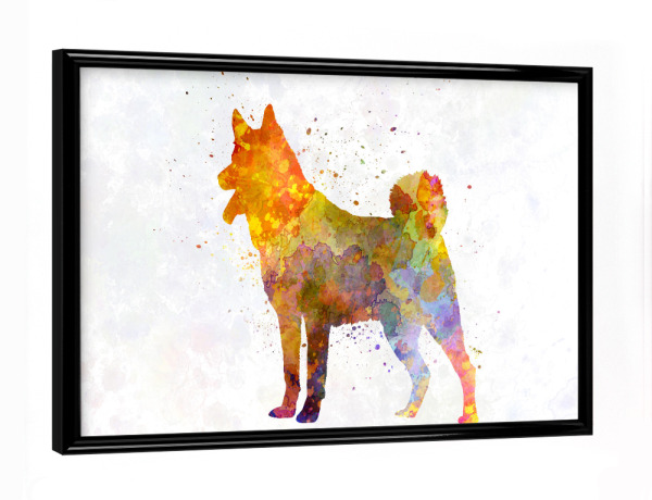 Poster mit schwarzem Rahmen "Jamthund in watercolor" artboxONE - Tiere,Abstrakt