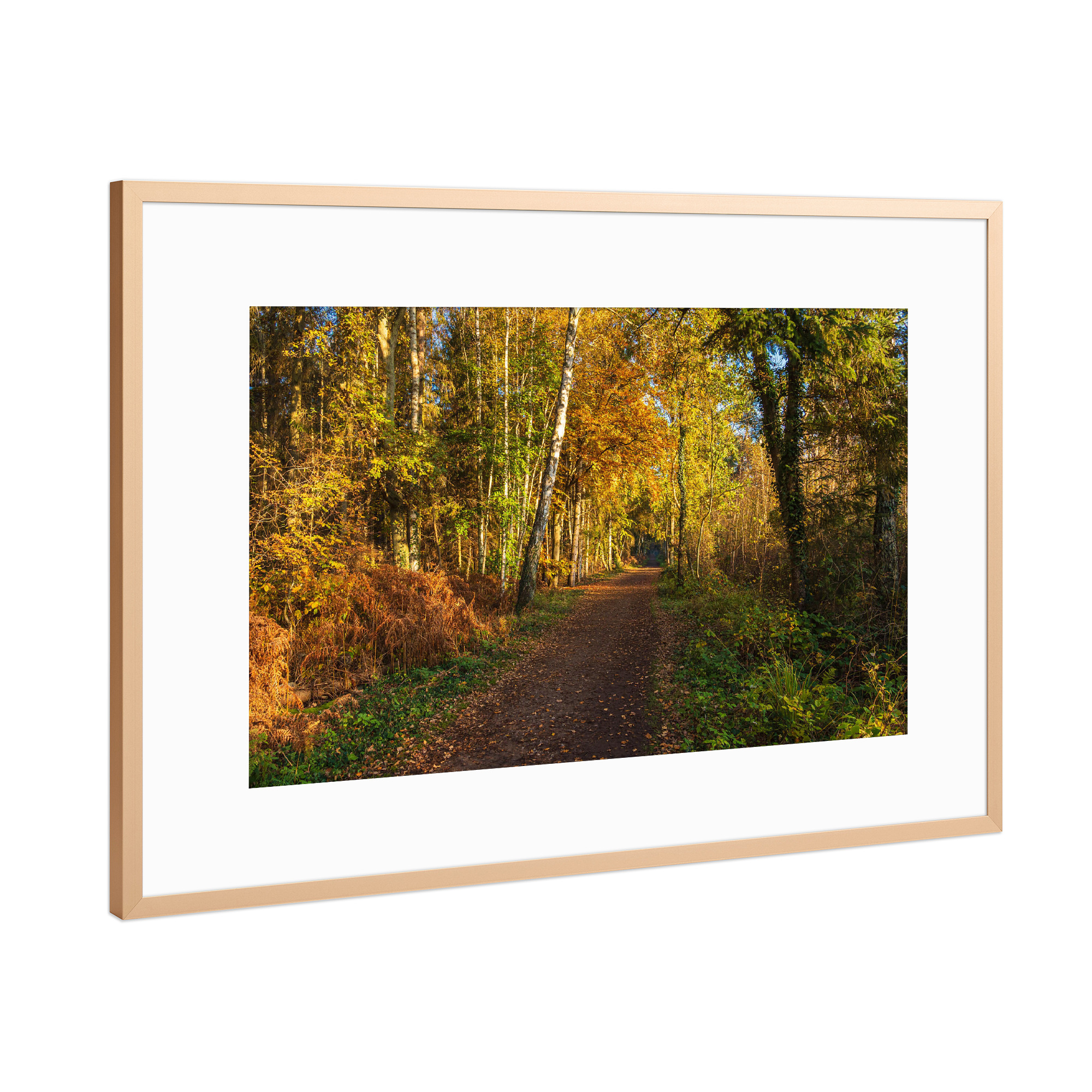 Poster mit Rahmen Kupfer "Weg im herbstlichen Wald" artboxONE - Natur,Reise