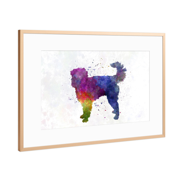 Poster mit Rahmen Kupfer "Dutch Smoushond in watercolor" artboxONE - Tiere,Abstrakt