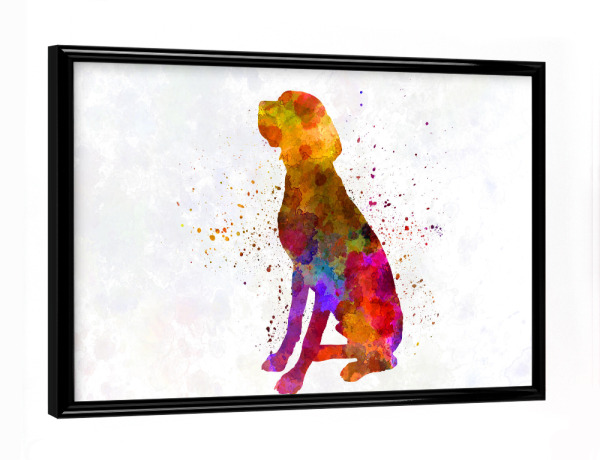 Poster mit schwarzem Rahmen "French Pointer in watercolor" artboxONE - Tiere,Abstrakt