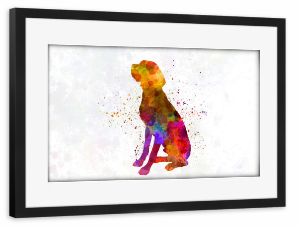 Poster mit Rahmen schwarz "French Pointer in watercolor" artboxONE - Tiere,Abstrakt