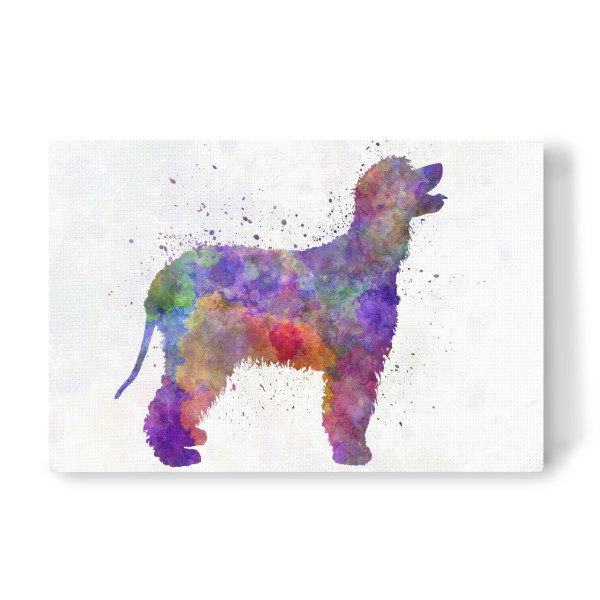 Leinwandbild "Irish Water Spaniel in watercolor" artboxONE - Tiere,Abstrakt