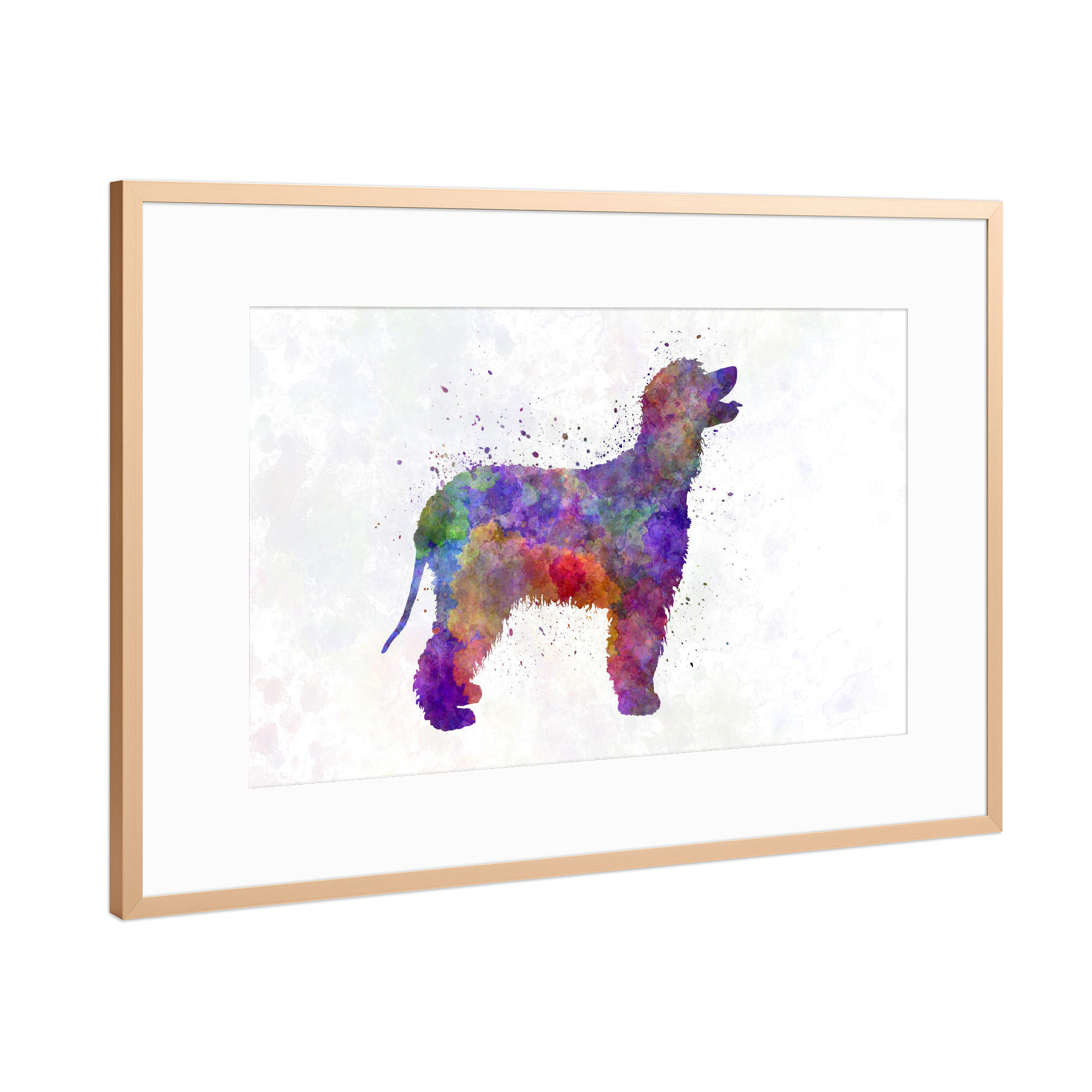 Poster mit Rahmen Kupfer "Irish Water Spaniel in watercolor" artboxONE - Tiere,Abstrakt