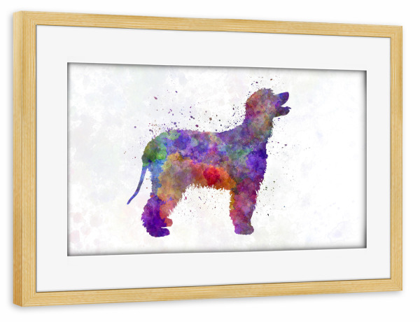 Poster mit Rahmen kiefer "Irish Water Spaniel in watercolor" artboxONE - Tiere,Abstrakt
