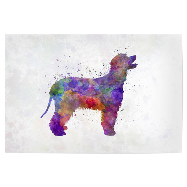 Poster "Irish Water Spaniel in watercolor" artboxONE - Tiere,Abstrakt - Dog,Dogs,Pet,Animal,Mammal,Watercolor,Dog poster,Illustration,Abstract,Hund