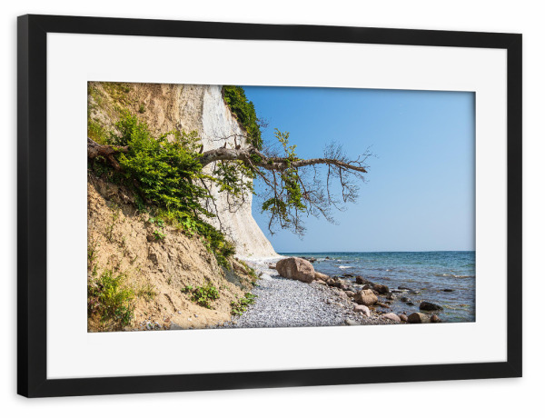 Poster mit Rahmen schwarz "Kreidefelsen mit Baum" artboxONE - Natur,Reise,Reise / Strand und Meer