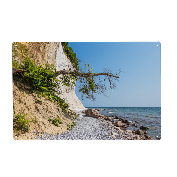 Metall Poster "Kreidefelsen mit Baum" artboxONE - Natur,Reise,Reise / Strand und Meer
