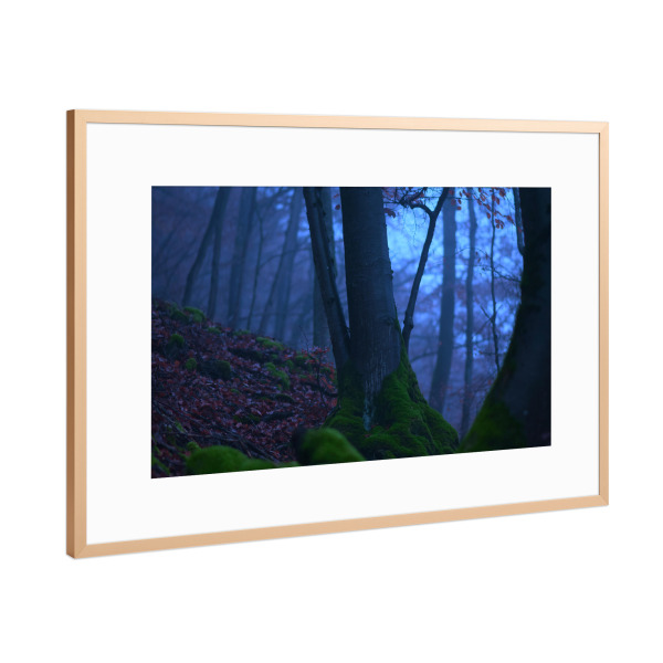 Poster mit Rahmen Kupfer "Mystischer Wald im Nebel" artboxONE - Natur