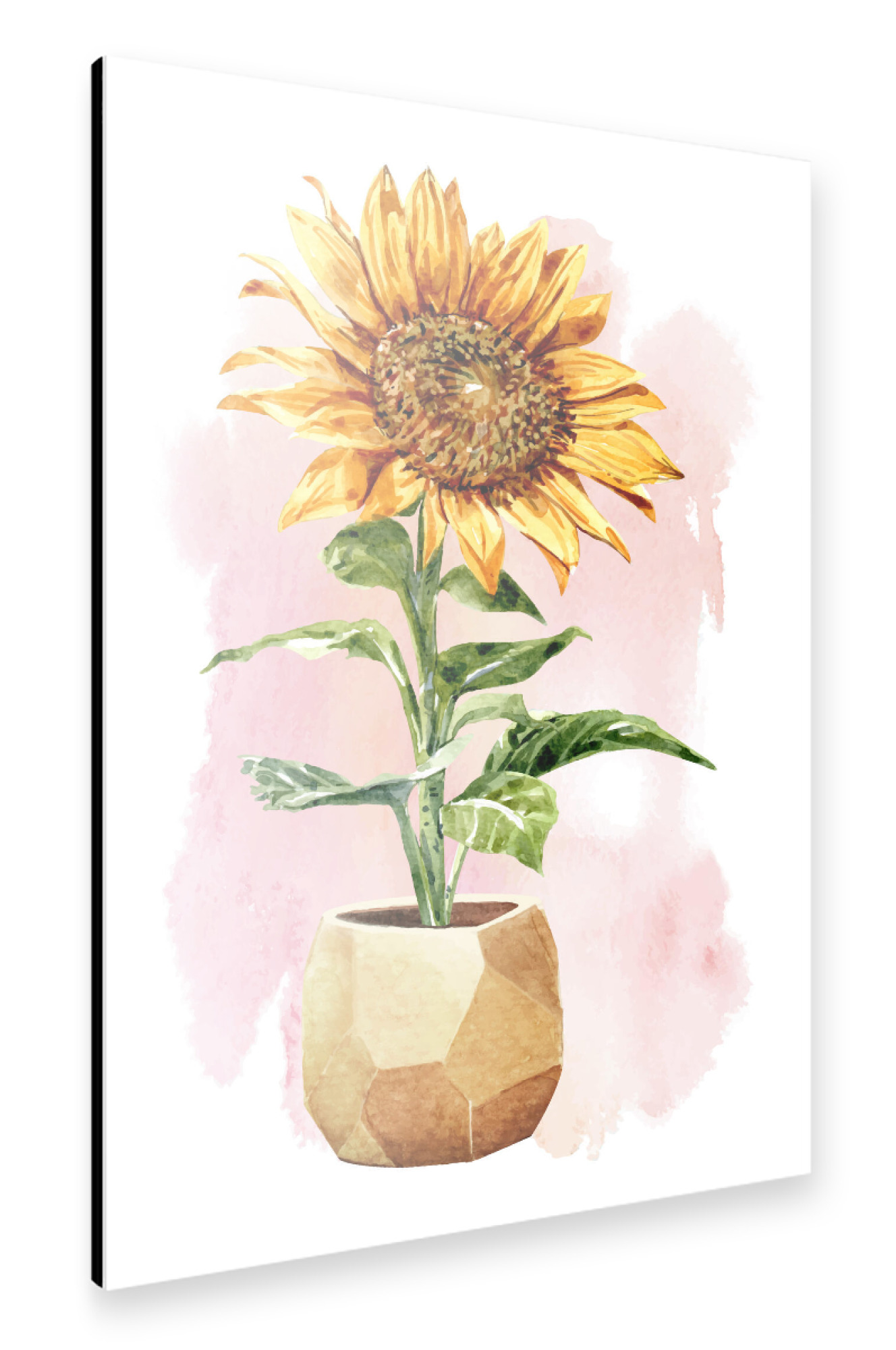 Alu-Dibond "Sonnenblume im Topf" 75x50 cm artboxONE