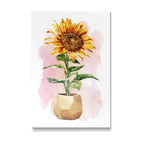 Galerie-Print "Sonnenblume im Topf" 30x20 cm artboxONE