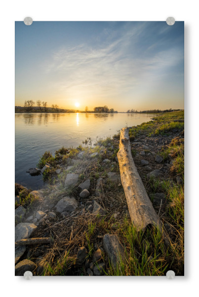 Acrylglasbild "Sonnenuntergang in Dresden" artboxONE - Natur,Reise,Städte / Dresden