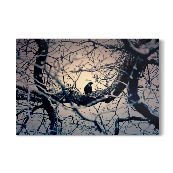 Galerie-Print "Schwarze Krähe, Natur Fotografie" 30x20 cm artboxONE