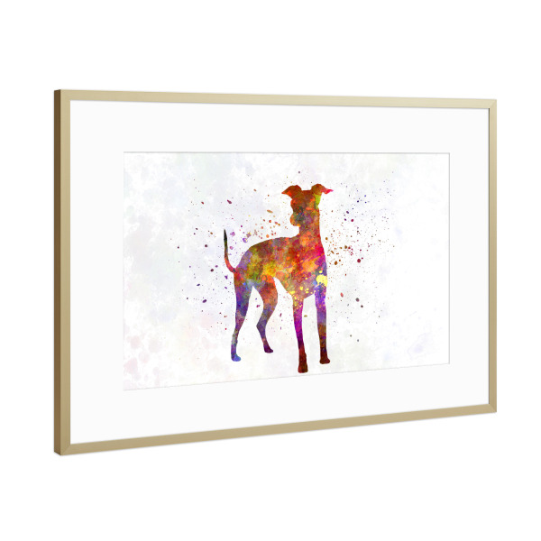 Poster mit Rahmen Gold "Italian Greyhound in watercolor" artboxONE - Tiere,Abstrakt