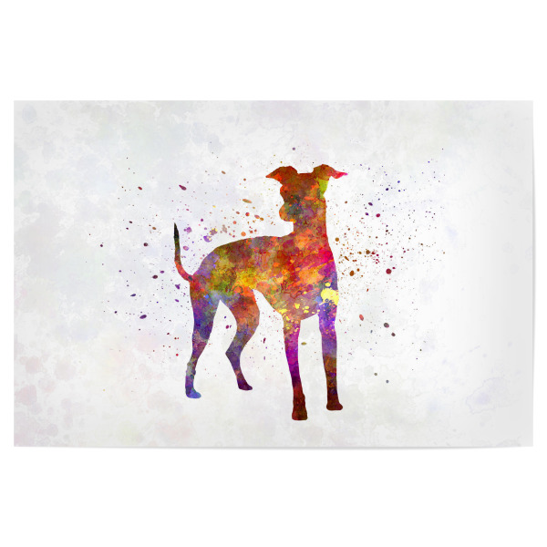 Poster 30x20 cm "Italian Greyhound in watercolor" artboxONE - Tiere,Abstrakt - Dog,Dogs,Pet,Animal,Mammal,Watercolor,Dog poster,Illustration,Abstract