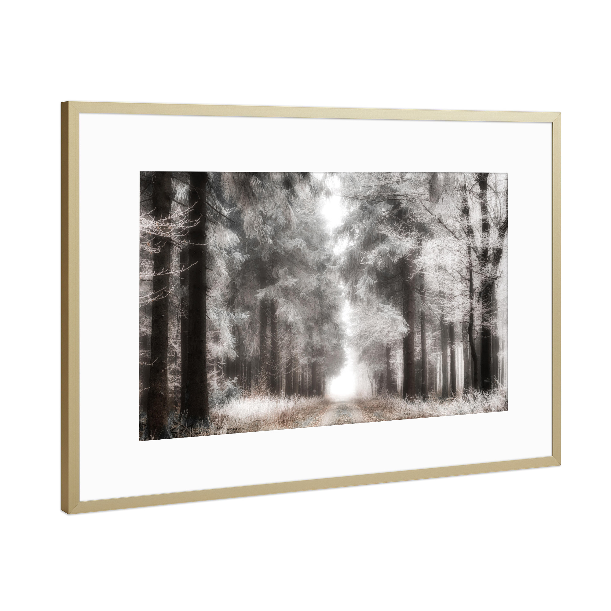 Poster mit Rahmen Gold "Frozen Wood" artboxONE - Natur,Floral