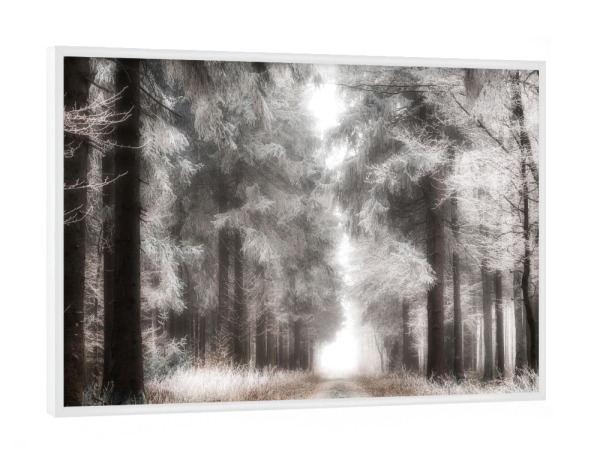 Poster mit weißem Rahmen "Frozen Wood" artboxONE - Natur,Floral