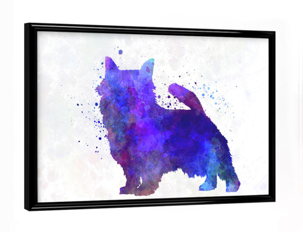 Poster mit schwarzem Rahmen "Norwich Terrier in watercolor" artboxONE - Tiere,Abstrakt