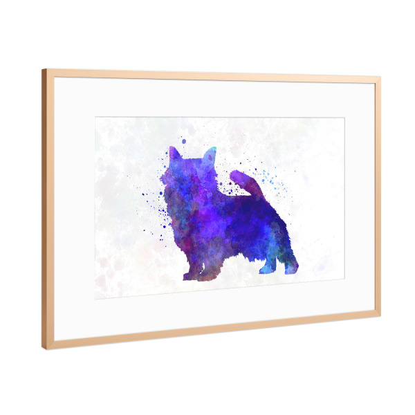 Poster mit Rahmen Kupfer "Norwich Terrier in watercolor" artboxONE - Tiere,Abstrakt