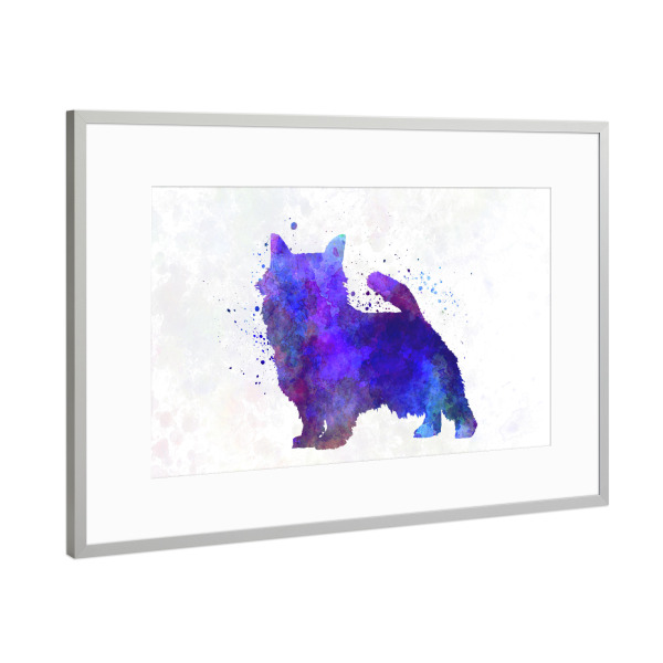 Poster mit Rahmen Silber "Norwich Terrier in watercolor" artboxONE - Tiere,Abstrakt