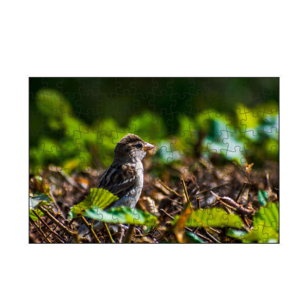 artboxONE Puzzle "Spatz" artboxONE - Natur,Tiere,Städte / Dresden - Vogel,Tier,Animal,Natur,Nature,Spatz,Bird,Sparrow,Hecke,Laub,Blätter,Grün