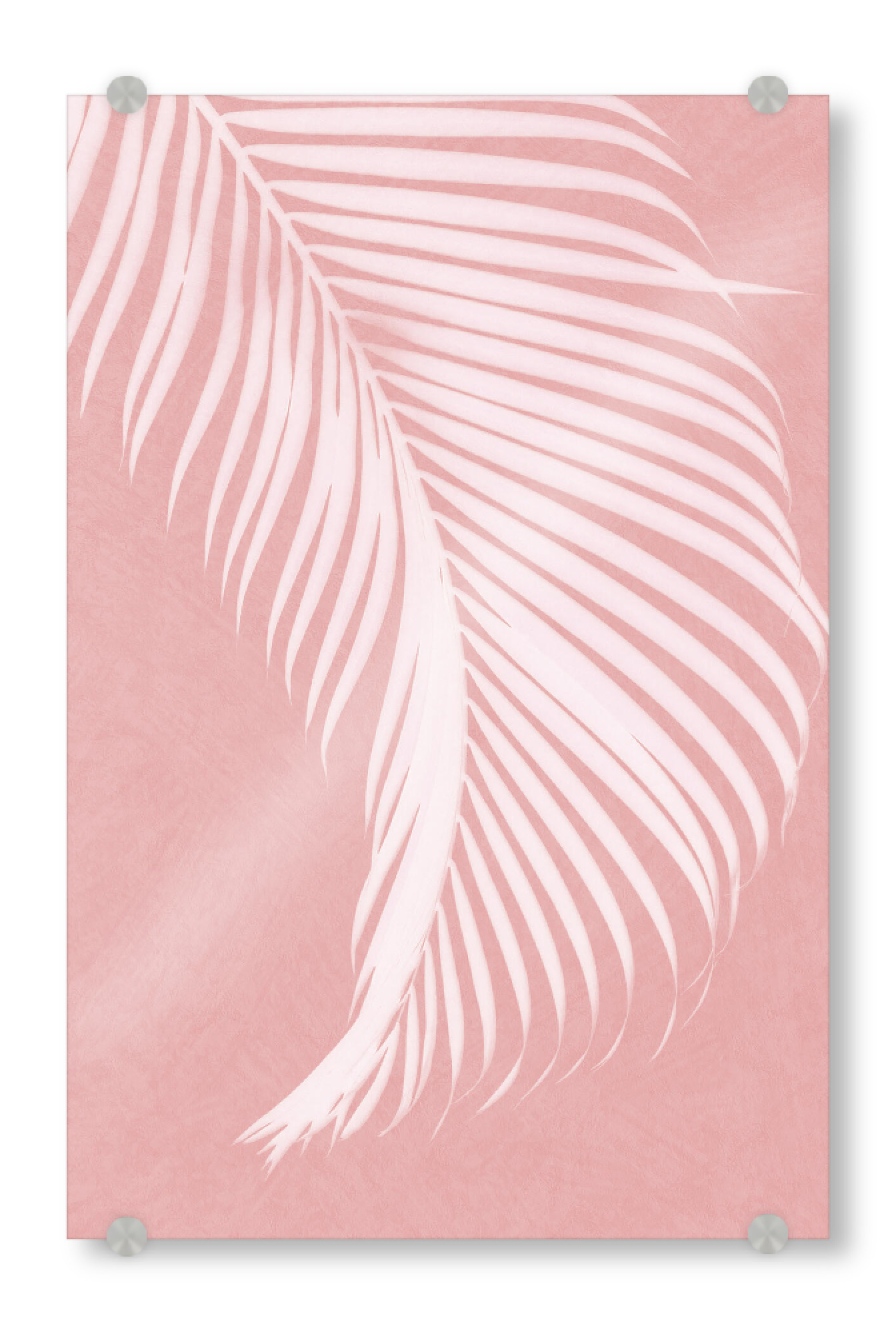 Acrylglasbild "Palmlaub auf Rosa" artboxONE - Natur