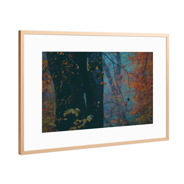 Poster mit Rahmen Kupfer "Herbstlicher Wald" artboxONE - Natur