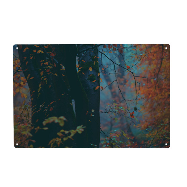 Holzbild "Herbstlicher Wald" artboxONE - Natur