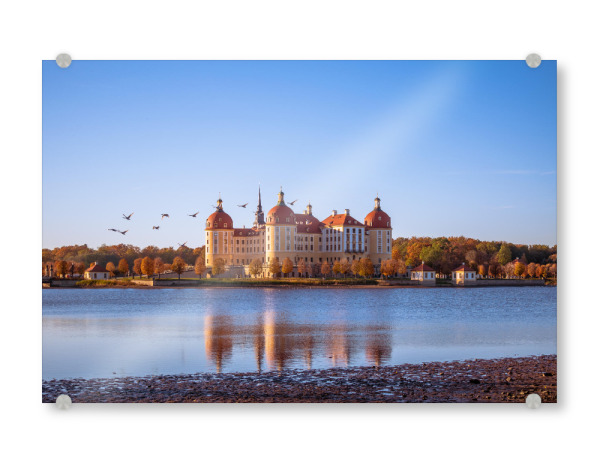 Acrylglasbild "Herbststimmung in Moritzburg" artboxONE - Städte,Natur,Architektur