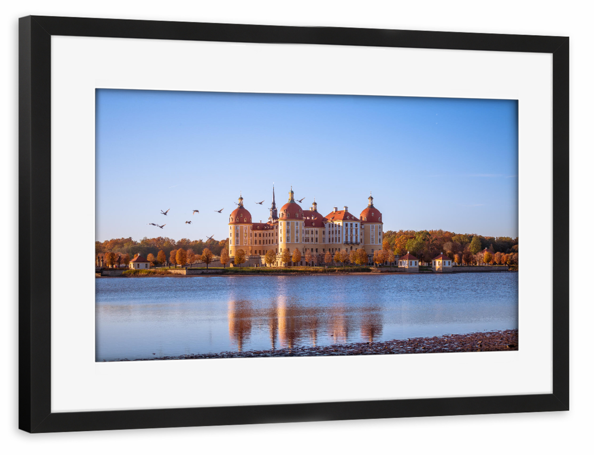 Poster mit Rahmen schwarz "Herbststimmung in Moritzburg" artboxONE - Städte,Natur,Architektur