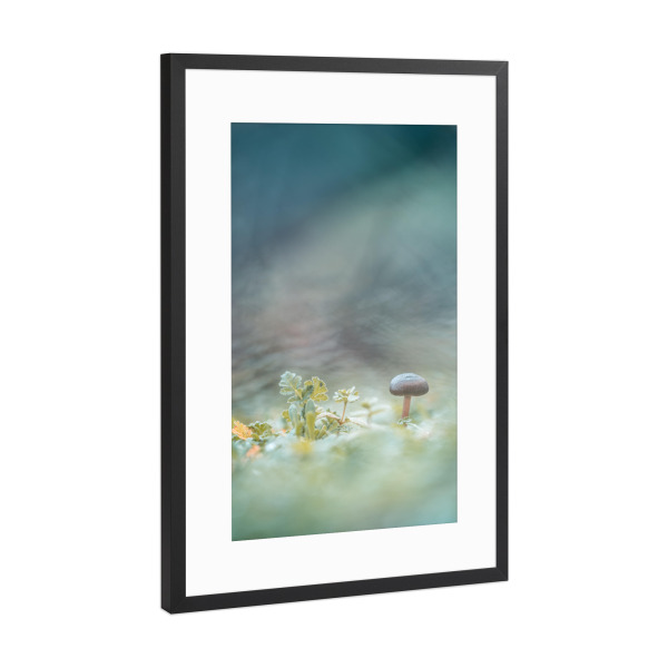 Poster mit Rahmen Schwarz (Metallic) "Small Mushroom" artboxONE - Natur