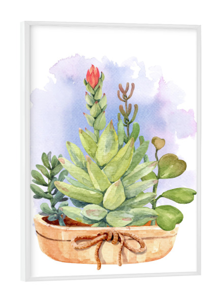 Poster mit weißem Rahmen "Topf mit Sukkulenten" artboxONE - Natur,Floral - Blume,Blüte,Topf,Ton,Grün,Flora,Pflanze,Plant,Flower,Blumen