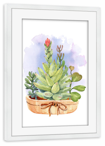 Poster mit Rahmen weiß "Topf mit Sukkulenten" artboxONE - Natur,Floral - Blume,Blüte,Topf,Ton,Grün,Flora,Pflanze,Plant,Flower,Blumen