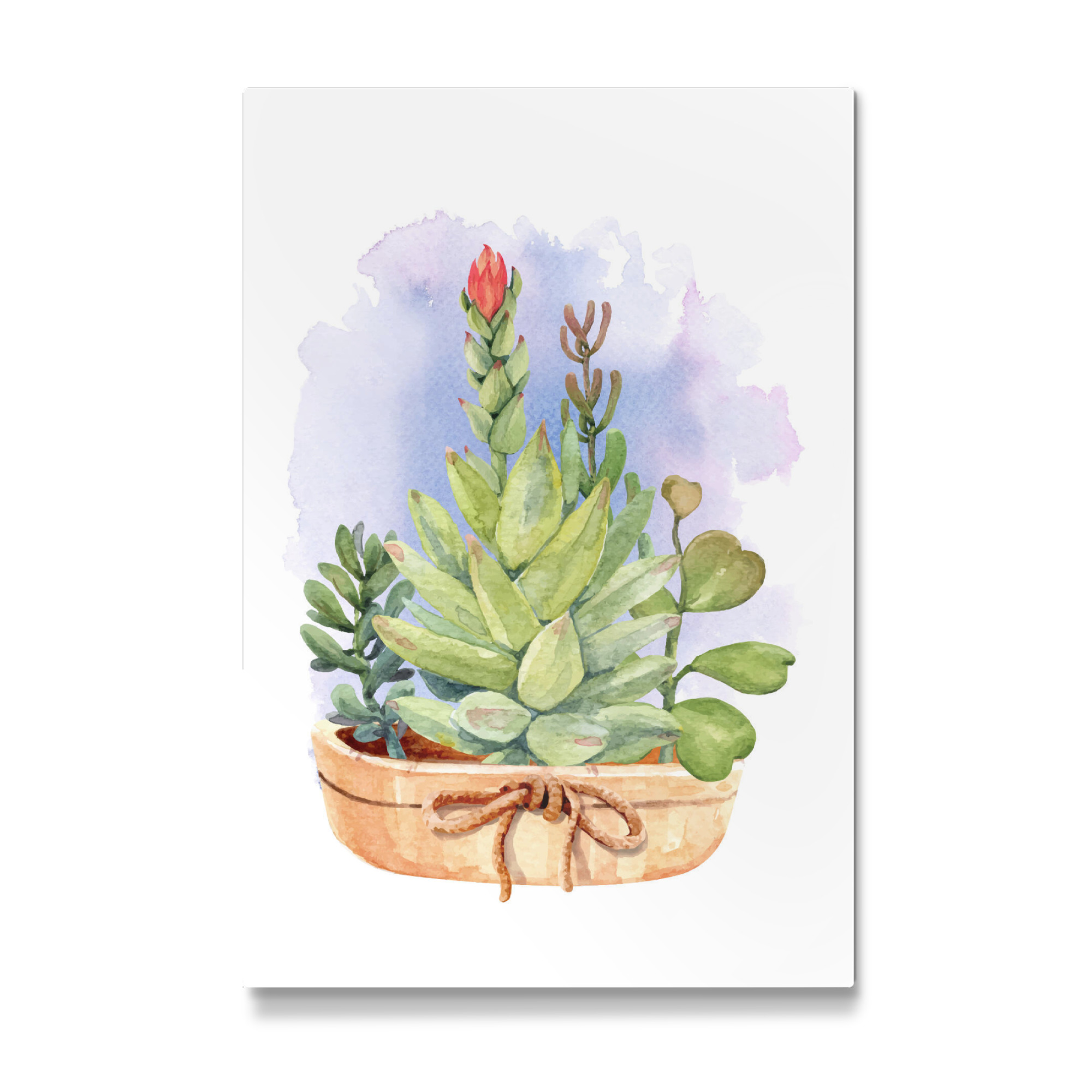 Galerie-Print "Topf mit Sukkulenten" 30x20 cm artboxONE