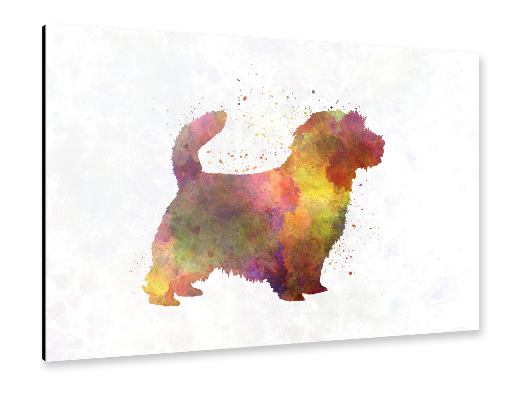 Alu-Dibond "Norfolk Terrier in watercolor" 30x20 cm artboxONE