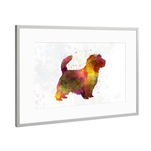 Poster mit Rahmen Silber "Norfolk Terrier in watercolor" artboxONE - Tiere,Abstrakt