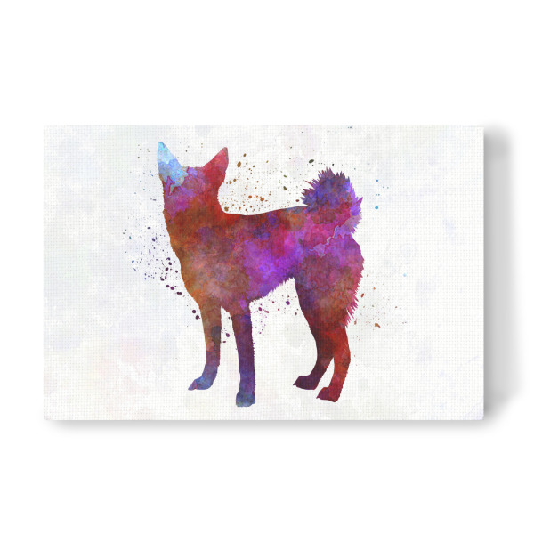 Leinwandbild "Norrbottenspitz in watercolor" artboxONE - Tiere,Abstrakt - Dog,Dogs,Pet,Animal,Mammal,Watercolor,Dog poster,Illustration,Abstract