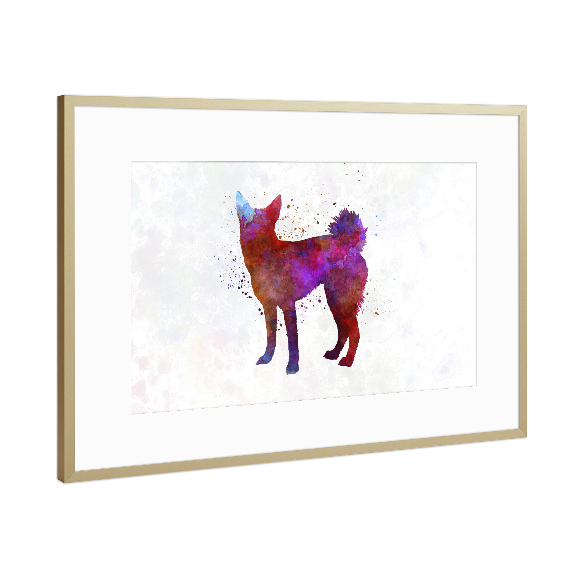 Poster mit Rahmen Gold "Norrbottenspitz in watercolor" artboxONE - Tiere,Abstrakt
