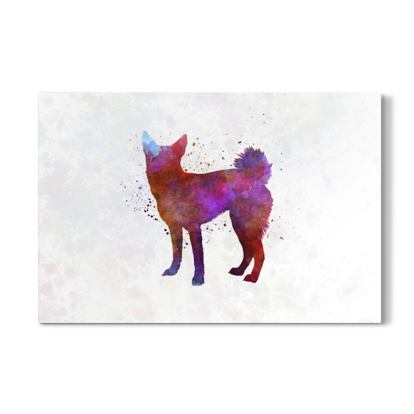 Galerie-Print "Norrbottenspitz in watercolor" 30x20 cm artboxONE