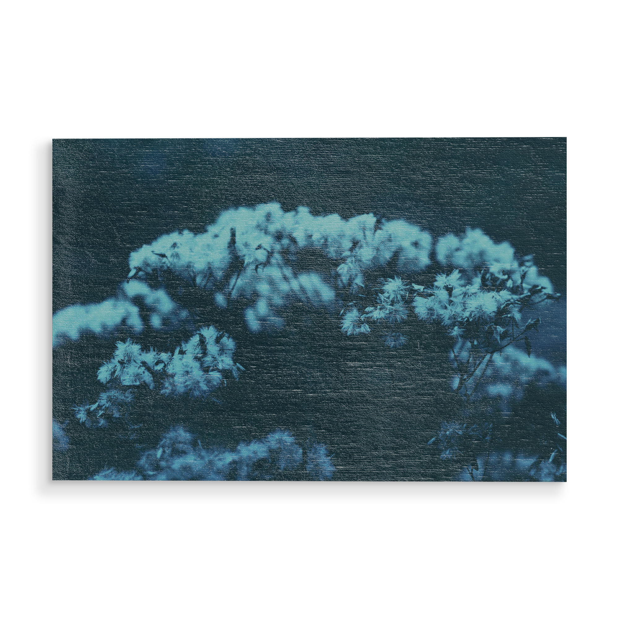 Holzbild "Pflanze am Waldrand" artboxONE - Natur,Floral