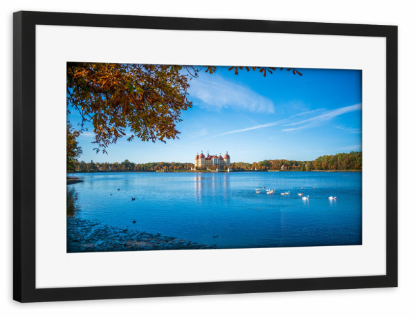 Poster mit Rahmen schwarz "Schlossteich Moritzburg" artboxONE - Städte,Natur,Architektur