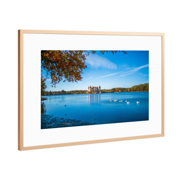 Poster mit Rahmen Kupfer "Schlossteich Moritzburg" artboxONE - Städte,Natur,Architektur