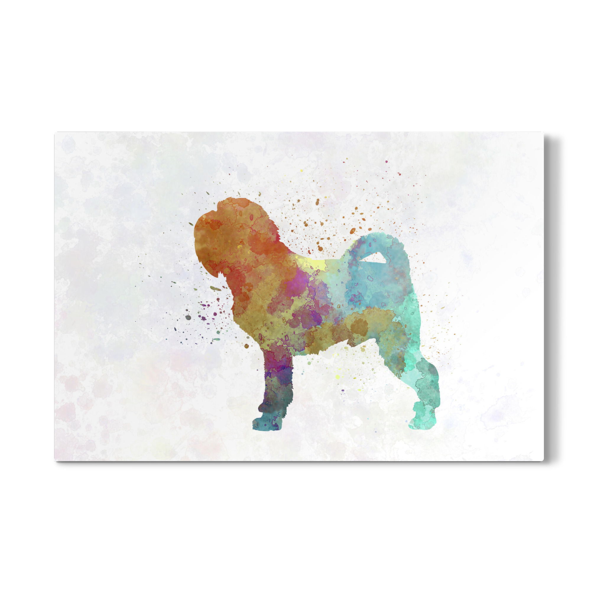 Galerie-Print "Griffon Belge in watercolor" 75x50 cm artboxONE