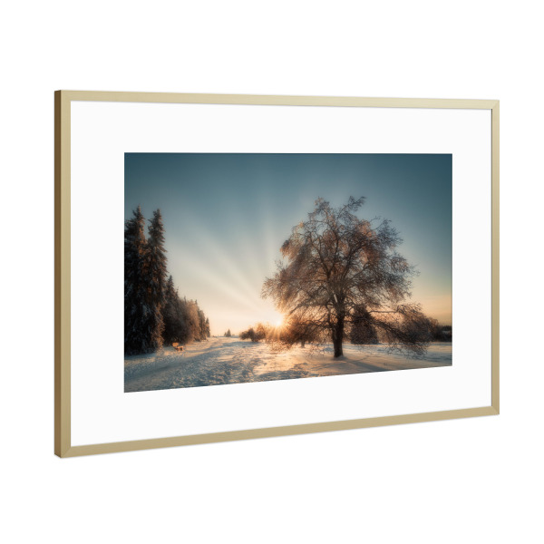 Poster mit Rahmen Gold "Winter Sonne" artboxONE - Natur,Floral