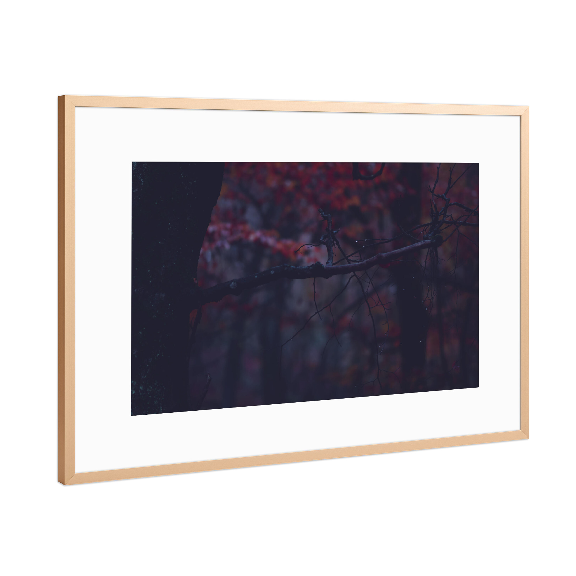 Poster mit Rahmen Kupfer "Verzweigter Ast" artboxONE - Natur