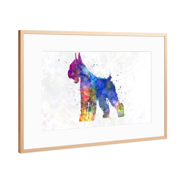 Poster mit Rahmen Kupfer "Giant Schnauzer dog" artboxONE - Tiere,Abstrakt - Dog,Dogs,Pet,Animal,Mammal,Watercolor,Abstract,Hund