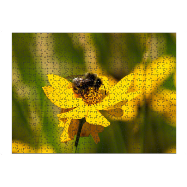 artboxONE Puzzle "Hummel auf gelber Blume" artboxONE - Natur,Floral,Tiere