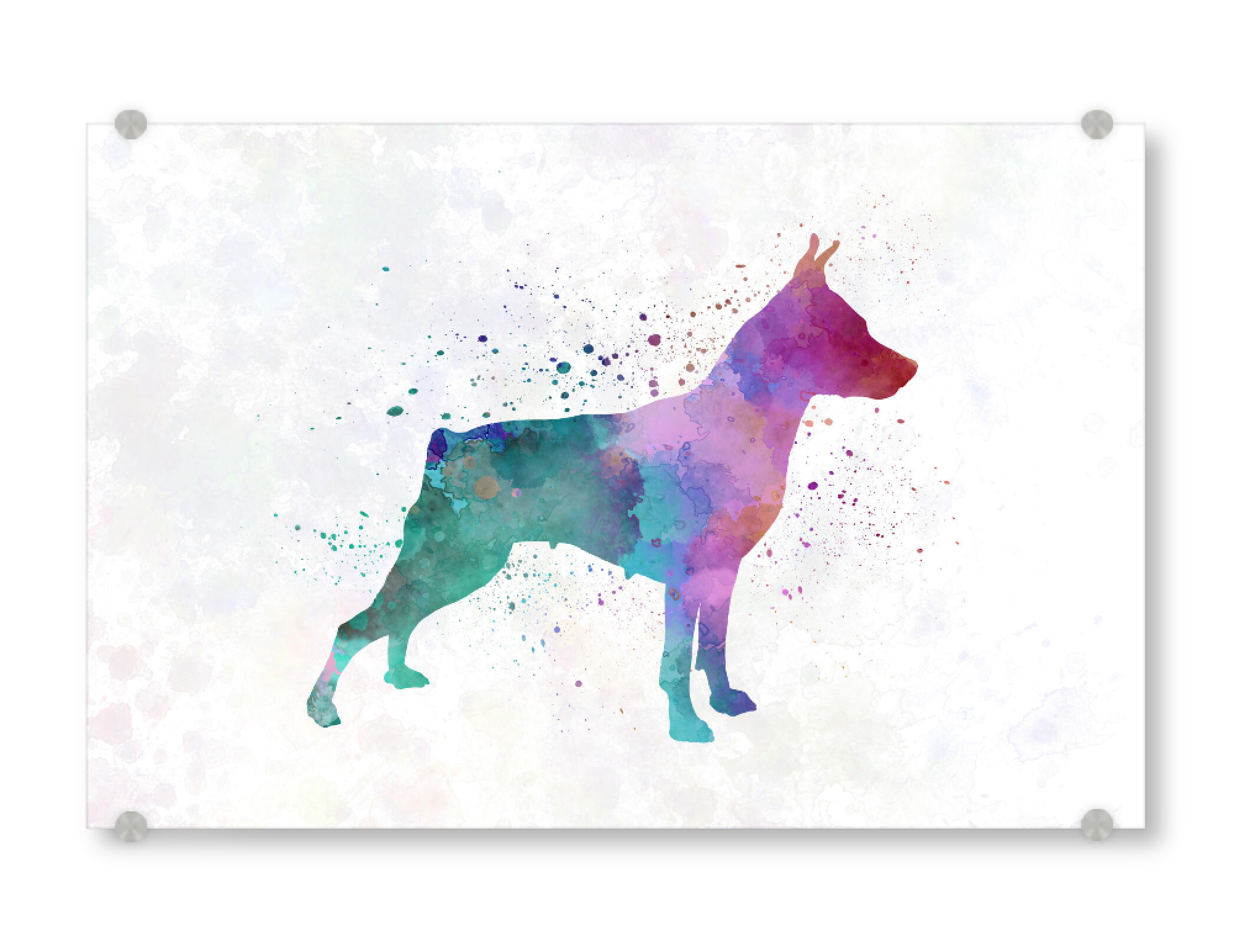 Acrylglasbild "Miniature Pinscher dog" artboxONE - Tiere,Abstrakt - Dog,Dogs,Pet,Animal,Mammal,Watercolor,Dog poster,Illustration,Abstract